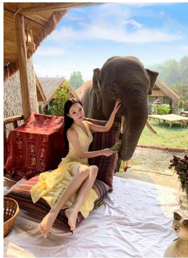 3 Pok Maewang Jinxiang Gold Elephant Park Mae Wang Exteriör bild