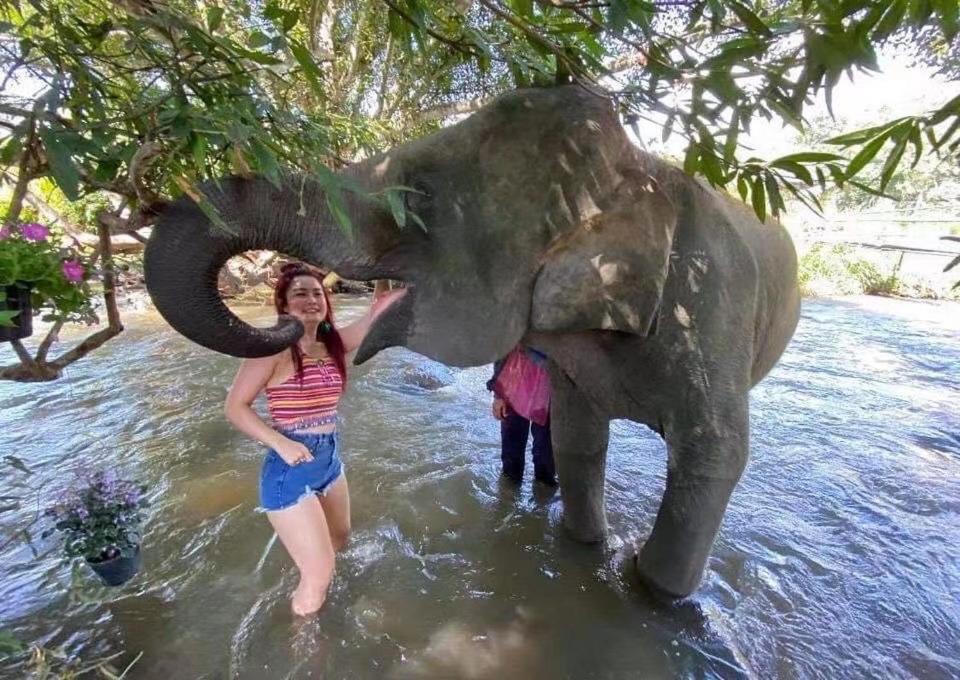 3 Pok Maewang Jinxiang Gold Elephant Park Mae Wang Exteriör bild